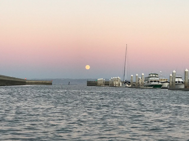 Paddling under a full moon at Oyster Point Marina